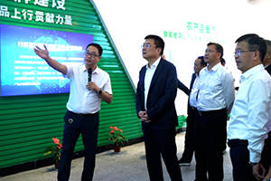 省委常委梁桂莅临菜东家集团调研指导工作