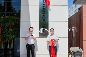 菜东家落子合肥——打造华东生鲜供应链新枢纽